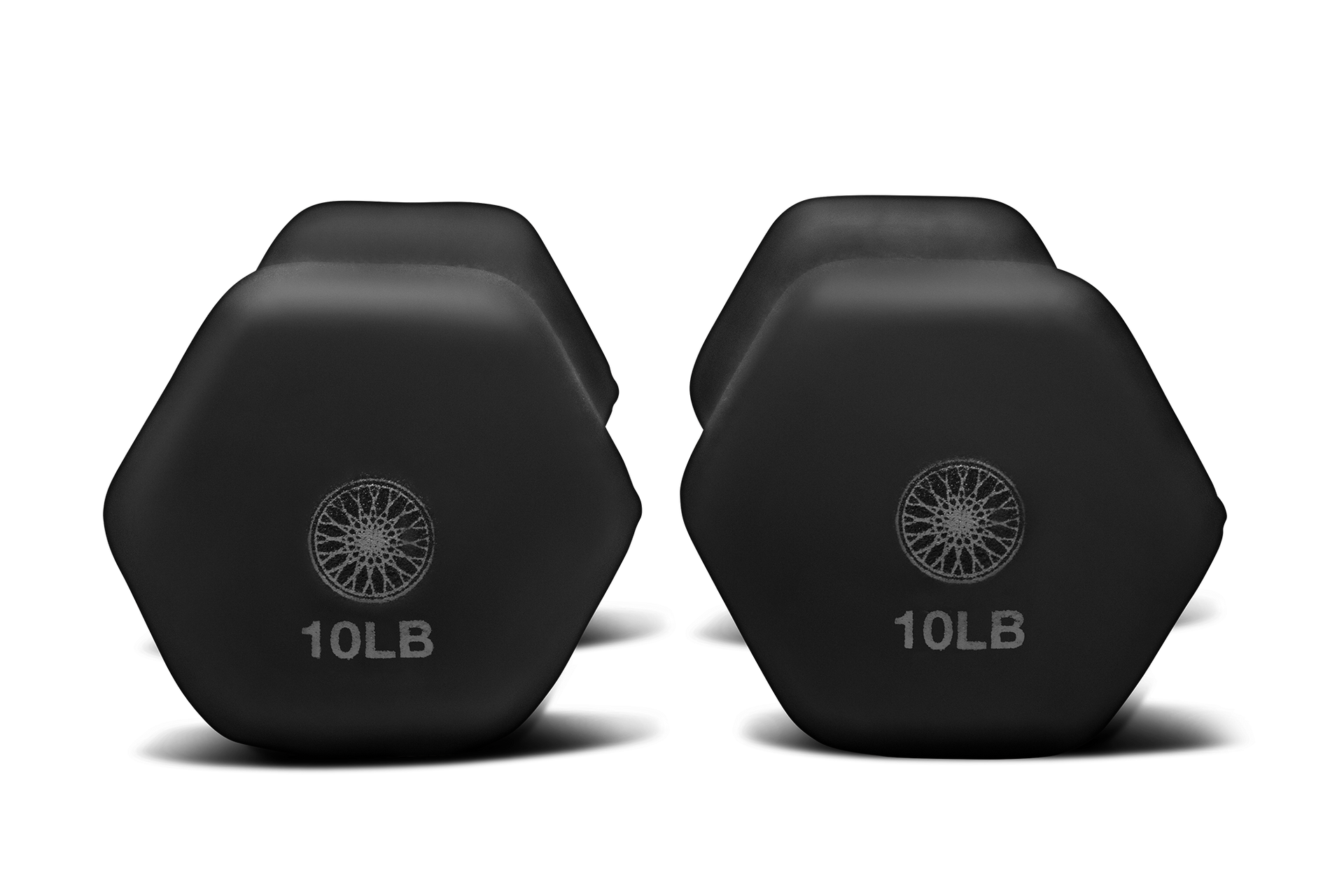 Hand Weights Pair Equinox+ Shop