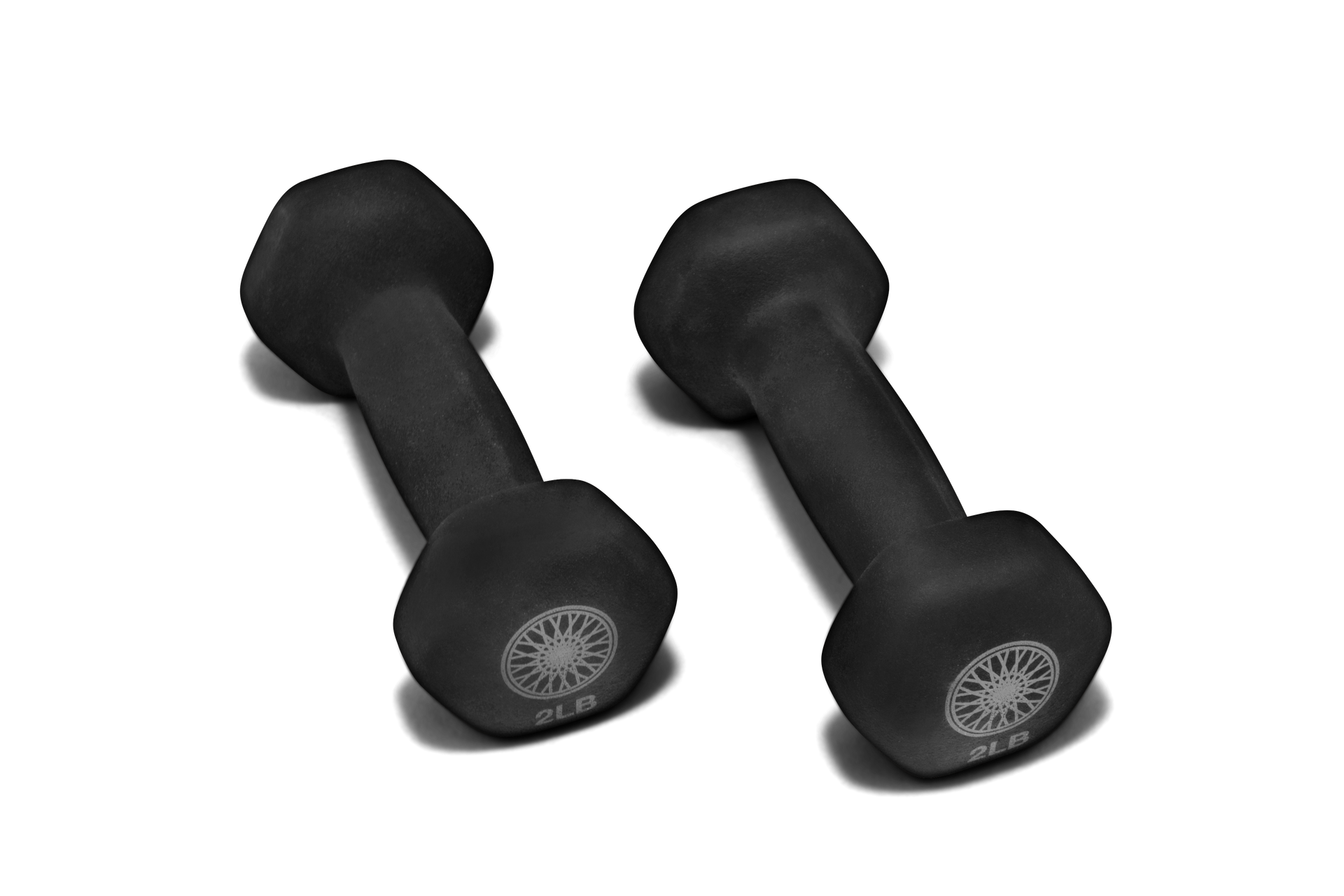 Hand Weights Pair Equinox+ Shop