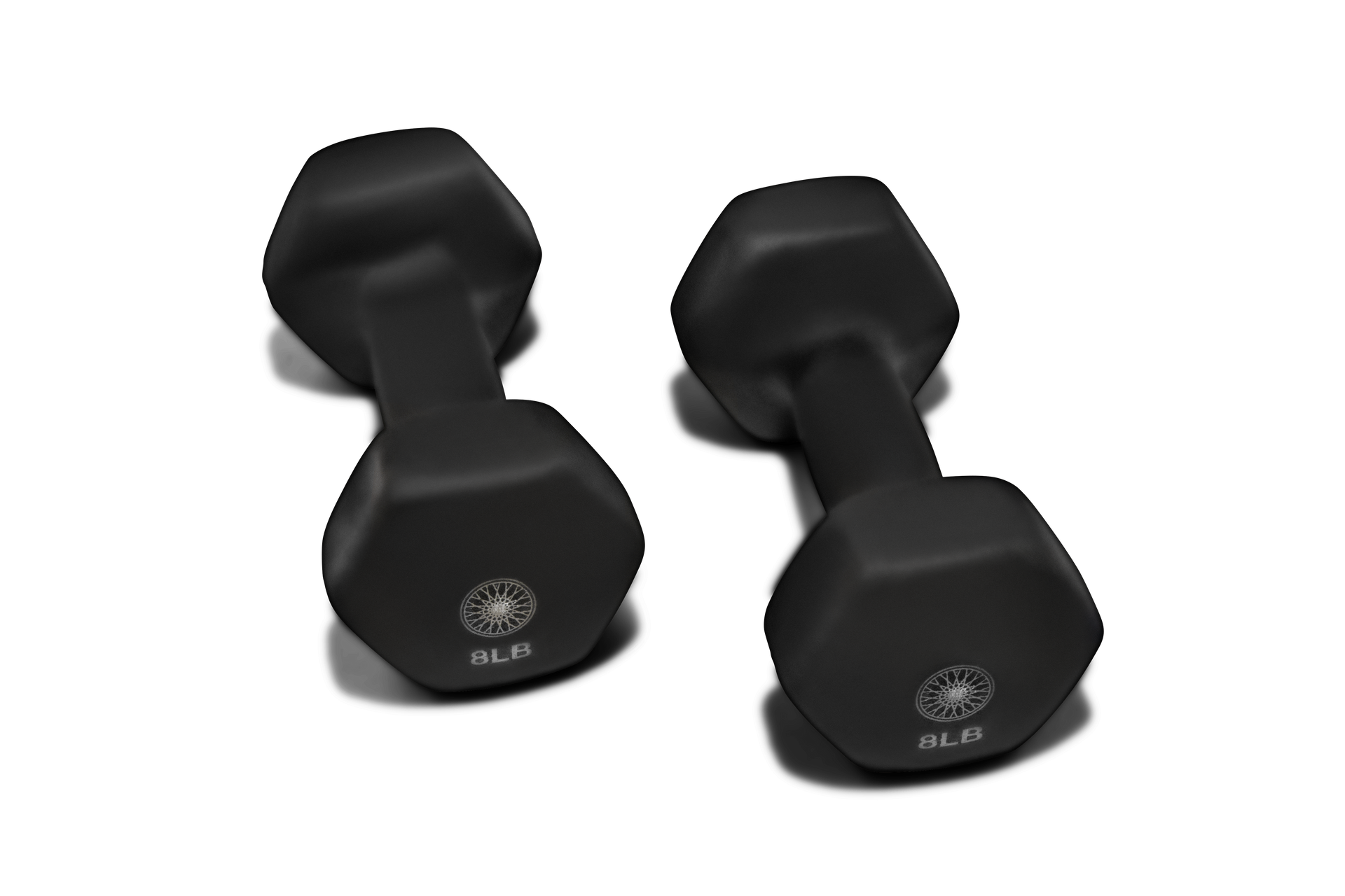 Hand Weights Pair Equinox+ Shop
