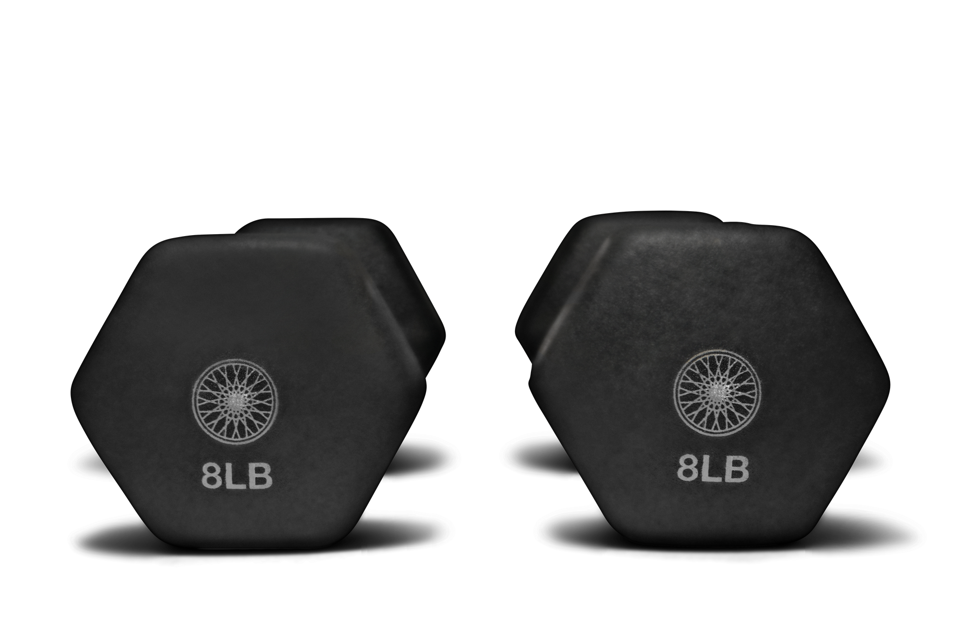 Hand Weights Pair Equinox+ Shop